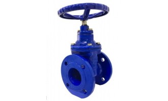 Ductile Iron Gate Valve BS 3464